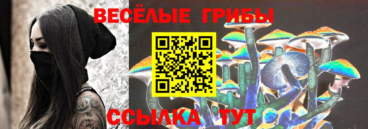 наркошоп  Псилоцибиновые грибы GOLDEN TEACHER  Вход с VPN  Азнакаево 